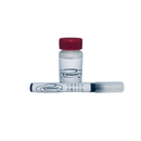 Kit stick vernice + pennarello vernice - IL RITOCCO